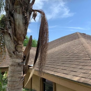 Hydration Vibration AIO Services - Roof Cleaning Before - Gutter Services Near Me Hydration Vibration AIO Services - Roof Cleaning Before - Gutter Services Near Me