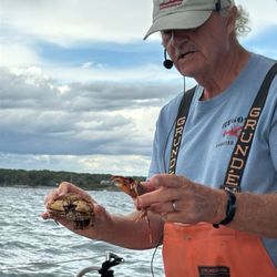 Rugosa Lobster Tours - Educational crab discussion