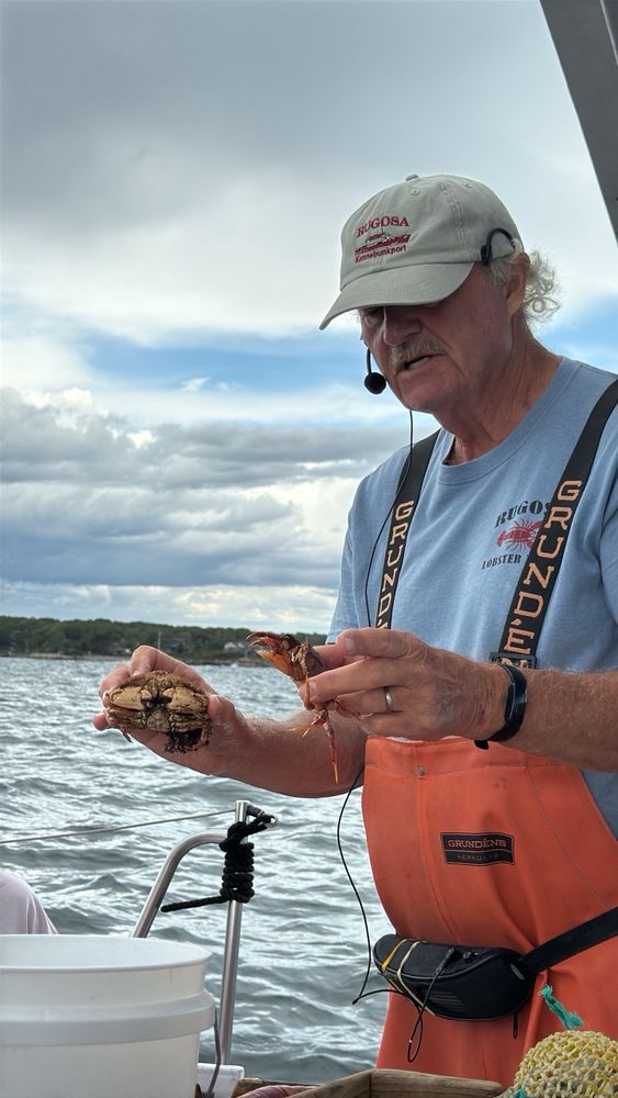 Rugosa Lobster Tours Logo