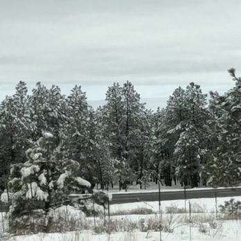 Kaibab National Forest - Hiking Near Me - Williams, Arizona