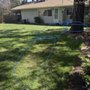 Photo of Willamette Turf