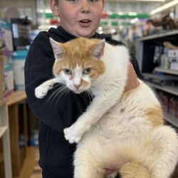Dubey's Pet World