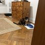 All 4 On The Floor