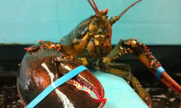 Wong Tung Seafood by null