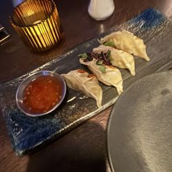 The Alchemist - Chicken dumplings