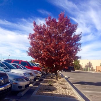 TownePlace Suites Las Cruces - Plenty of parking spaces - Hotels Near Me - Las Cruces, New Mexico TownePlace Suites Las Cruces - Plenty of parking spaces - Hotels Near Me - Las Cruces, New Mexico
