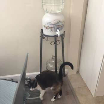 Water Farm - Lucy loves the new water system. - Water Stores Near Me - Torrance, California Water Farm - Lucy loves the new water system. - Water Stores Near Me - Torrance, California