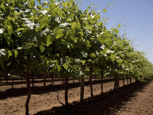 Terindah Estate by null