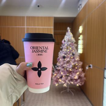 Molly Tea - Bubble Tea Near Me - Chicago, Illinois
