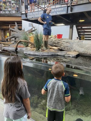 National Mississippi River Museum & Aquarium by null