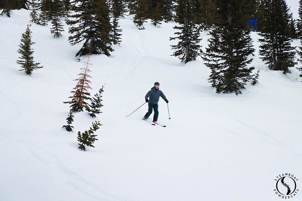 Steamboat Powdercats by null