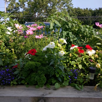 Lakeshore Grillworks - Pretty and functional garden - Burgers Near Me - Dunkirk, New York Lakeshore Grillworks - Pretty and functional garden - Burgers Near Me - Dunkirk, New York