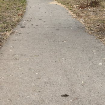 Ed R. Levin County Park - Dog Parks Near Me - Milpitas, California
