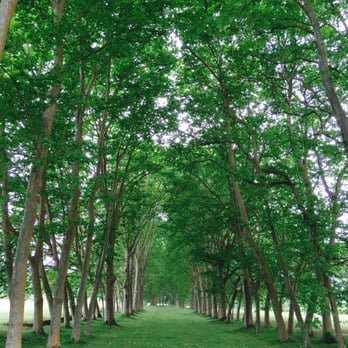 Château La Louvière - Wineries Near Me - Léognan, 33