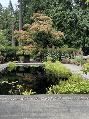 Milner Gardens & Woodland - Vancouver Island University by null