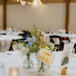 TLC Event Design & Coordination