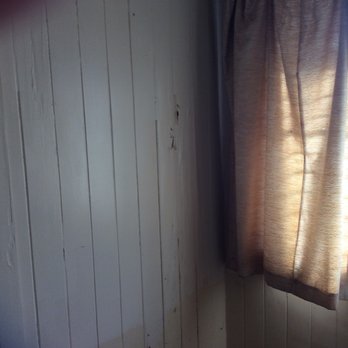 Pest Tech Hawaii - Wall damage - Pest Control Near Me - Honolulu, Hawaii Pest Tech Hawaii - Wall damage - Pest Control Near Me - Honolulu, Hawaii