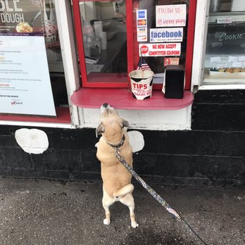 Silver Dairy - Bruce awaiting his puppy cone! - Ice Cream & Frozen Yogurt Near Me - Farmington, Michigan Silver Dairy - Bruce awaiting his puppy cone! - Ice Cream & Frozen Yogurt Near Me - Farmington, Michigan
