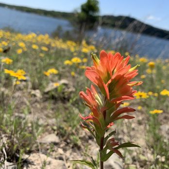 Sandy Creek Park - Sunshine!! - Parks Near Me - Leander, Texas