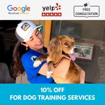 Topanga Dog Resort - Pet Training Near Me - Topanga, California Topanga Dog Resort - Pet Training Near Me - Topanga, California