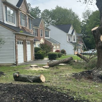 Willys Tree Service and Landscaping - Tree Service - Tree Services Near Me - Glen Burnie, Maryland Willys Tree Service and Landscaping - Tree Service - Tree Services Near Me - Glen Burnie, Maryland