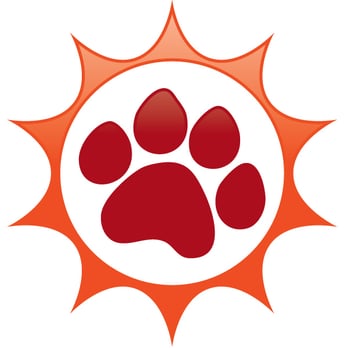 Good Dog Rising - Pet Training Near Me - Carlisle, Pennsylvania Good Dog Rising - Pet Training Near Me - Carlisle, Pennsylvania