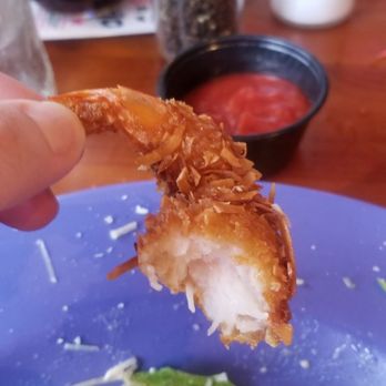Ocean Deck - Seafood Near Me - Daytona Beach, Florida Ocean Deck - Seafood Near Me - Daytona Beach, Florida