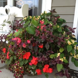 Fairway Estate Garden Center