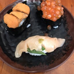 Sea Urchin