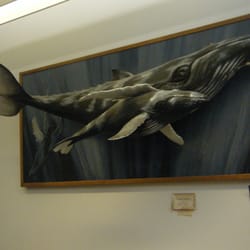 Norton Public Library - Great art