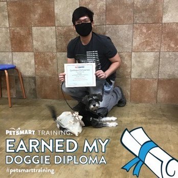 PetSmart - PetSmart Intermediate Puppy Training - Pet Groomers Near Me - Northridge, California PetSmart - PetSmart Intermediate Puppy Training - Pet Groomers Near Me - Northridge, California