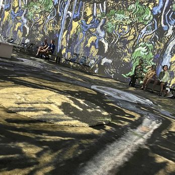 Van Gogh - Art Tours Near Me - Oro Valley, Arizona