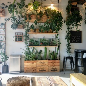 Leafy - Cute - Asian Fusion Near Me - Pembroke Pines, Florida Leafy - Cute - Asian Fusion Near Me - Pembroke Pines, Florida