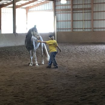 Longmeadow Rescue Ranch - Training - Ranches Near Me - Union, Missouri