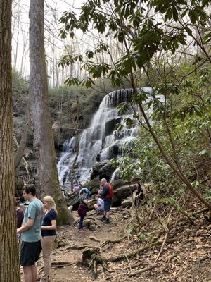 Yellow Branch Falls by null