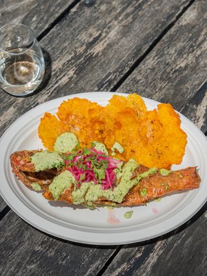 Commune Cafe + Wine Bar by null