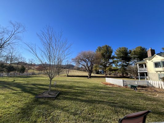 Foster Harris House by null