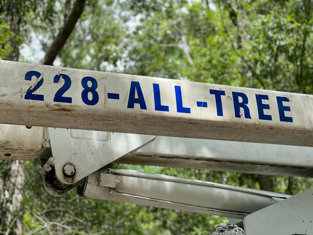 Taylor Tree - tree service in Long Beach, MS