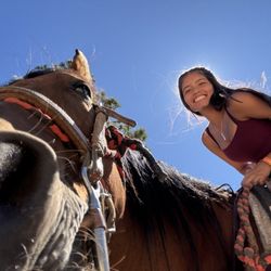 Zephyr Cove Stables - Māhea