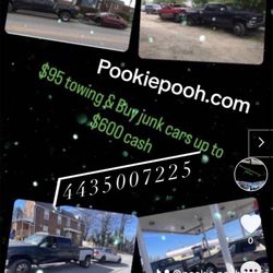Pookie Pooh Towing