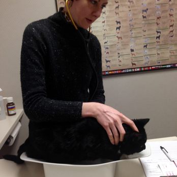 Kenwood Pet Clinic - Dr. Borck with Boots - Veterinarians Near Me - Minneapolis, Minnesota Kenwood Pet Clinic - Dr. Borck with Boots - Veterinarians Near Me - Minneapolis, Minnesota