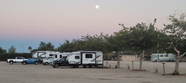 Joshua Tree RV & Campground by null