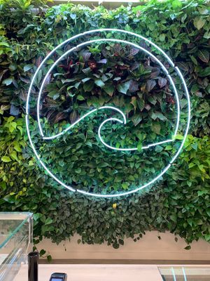 Coastal Dispensary Santa Barbara by null