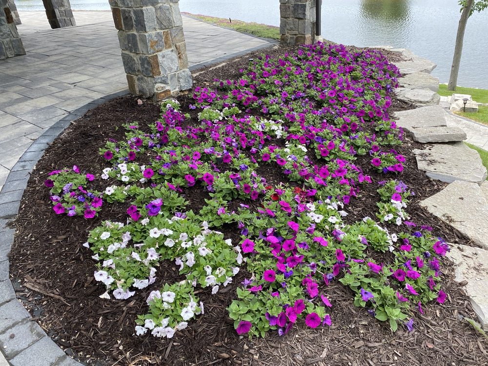 PENROSE NURSERY Updated August 2024 4720 E Highland Rd, Howell