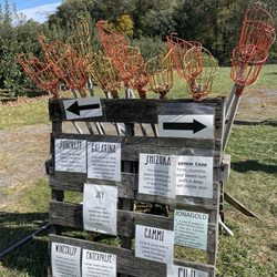 The Orchard At Doc Waters Cidery - Types of apples