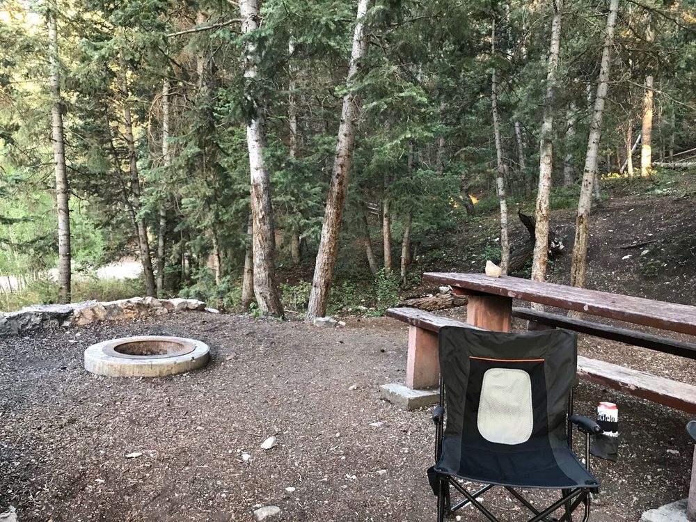 Manti Community Campground Logo
