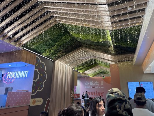 Collage Culinary Experience by null