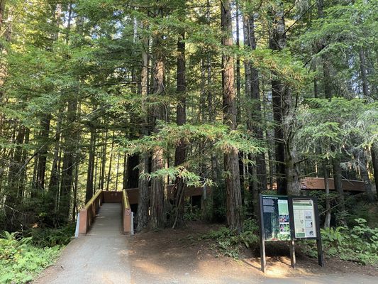 Lady Bird Johnson Grove Trail by null