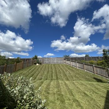 QM Trims - Gardeners Near Me