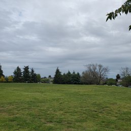 Dog park area, wide open